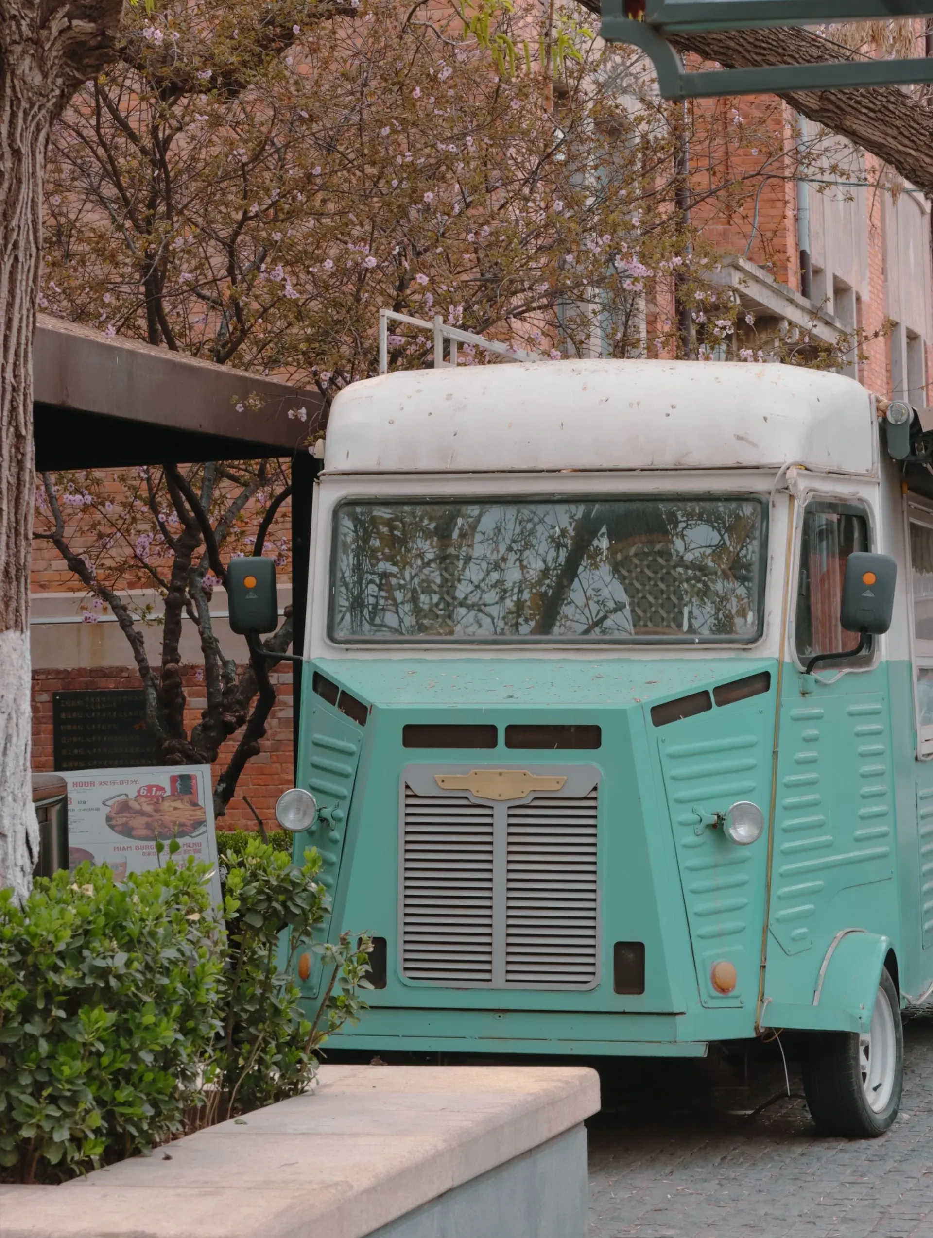 Le camion, un utilitaire ancien vert d'eau, garé sous les arbres en fleurs