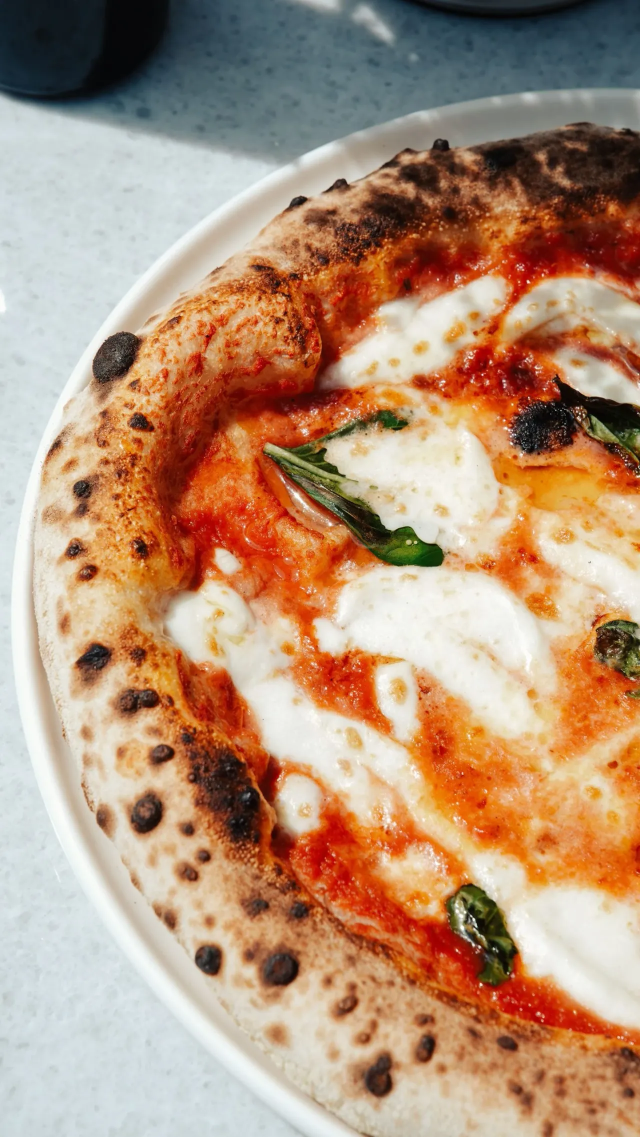 Une margherita de près : tomate, mozzarella fondue et basilic sur une pâte bien gonflée